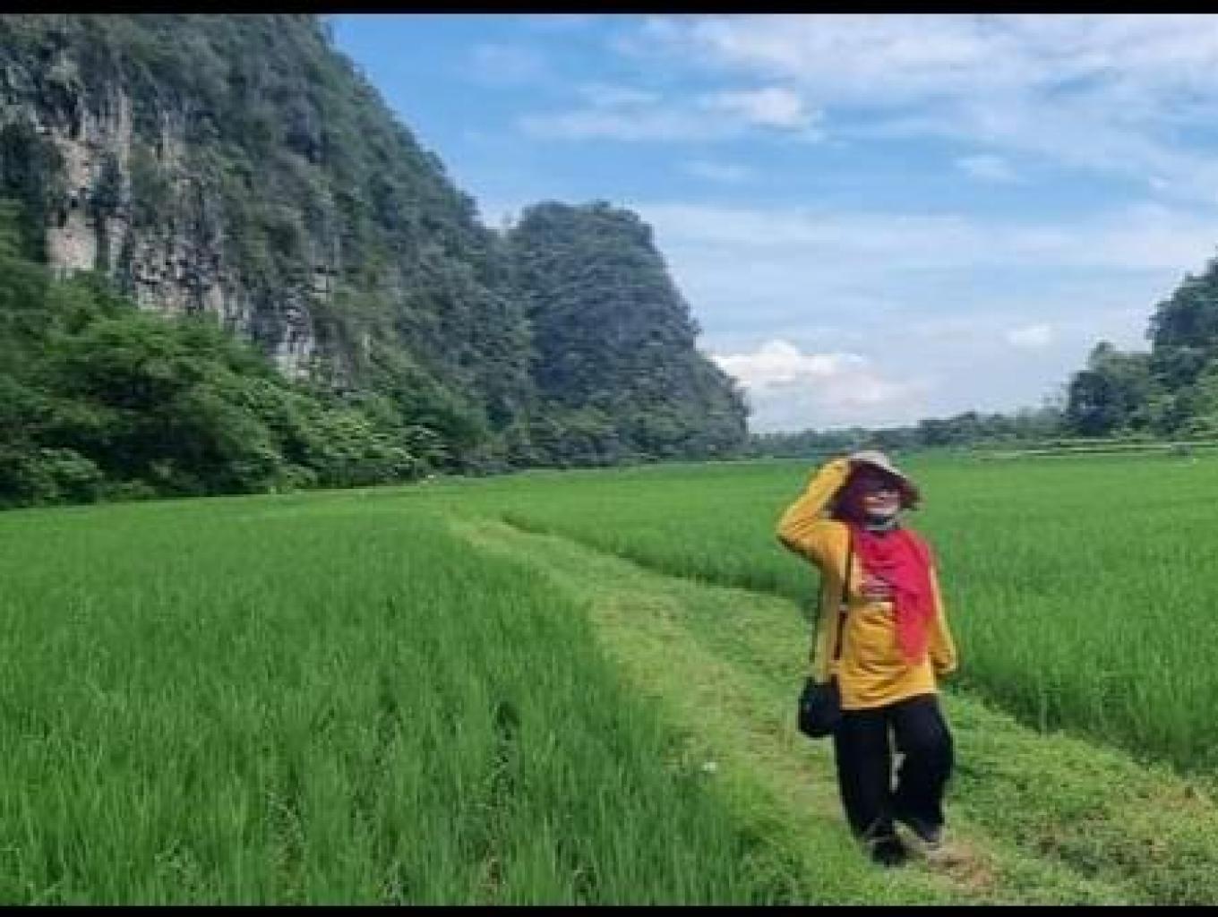 Hamparan Sawah Gunung Karts