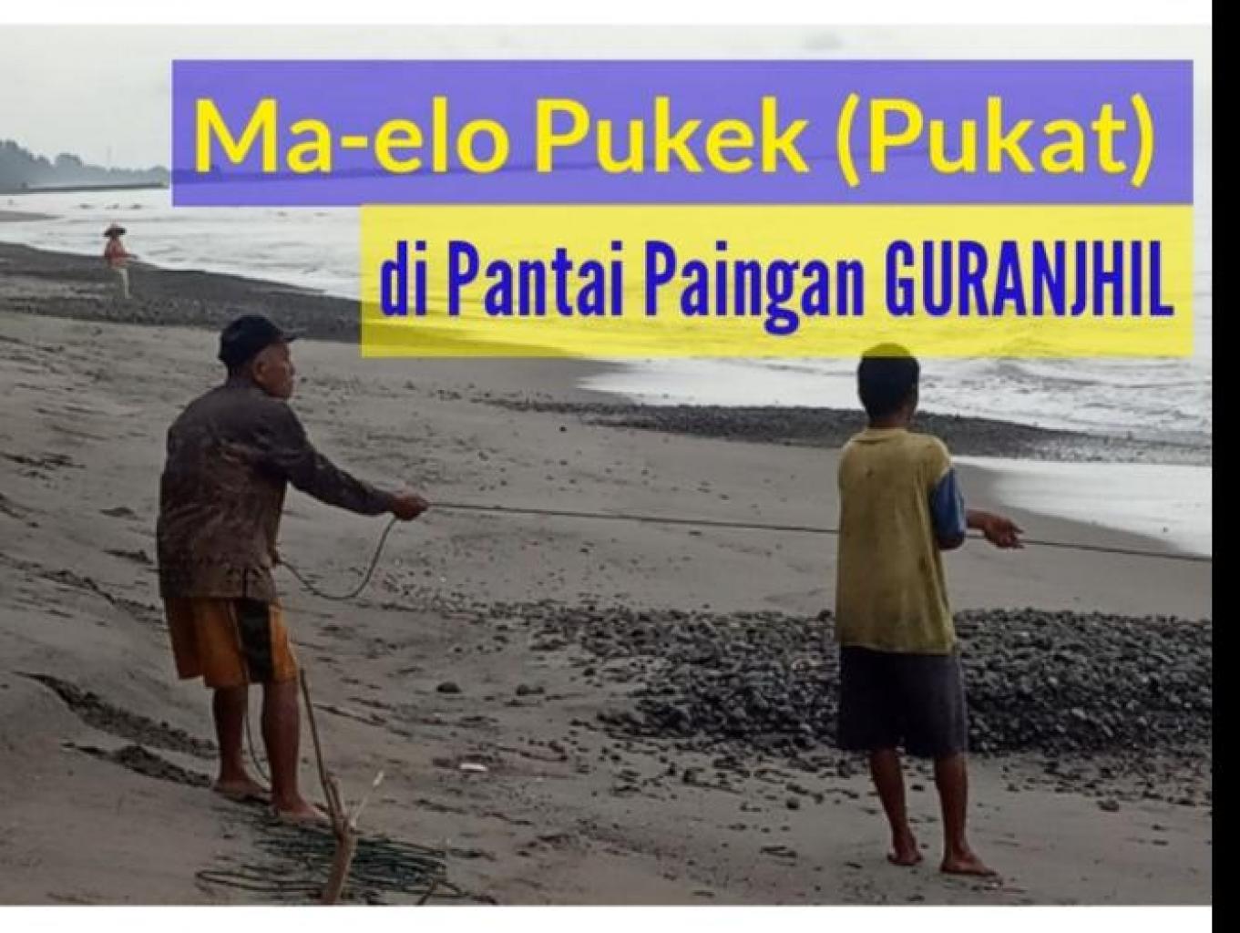 Edukasi Wisata Maelo Pukek (Menarik Pukat)