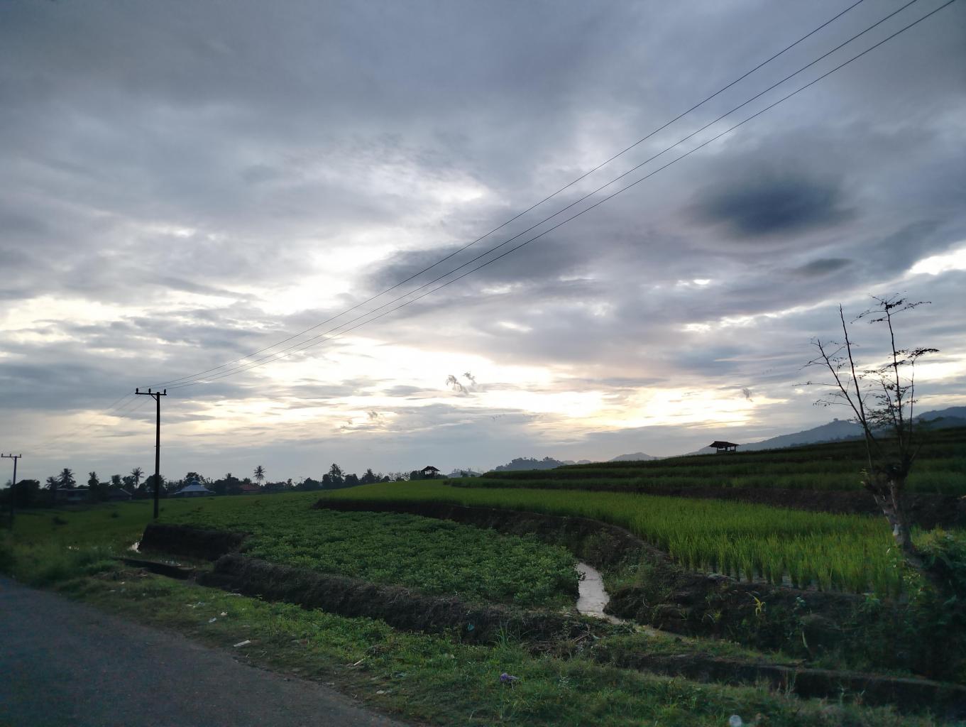 SAWAH SENJA DESA BARUA 