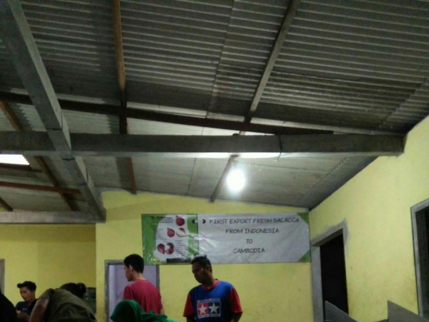 Buah Salak Segar