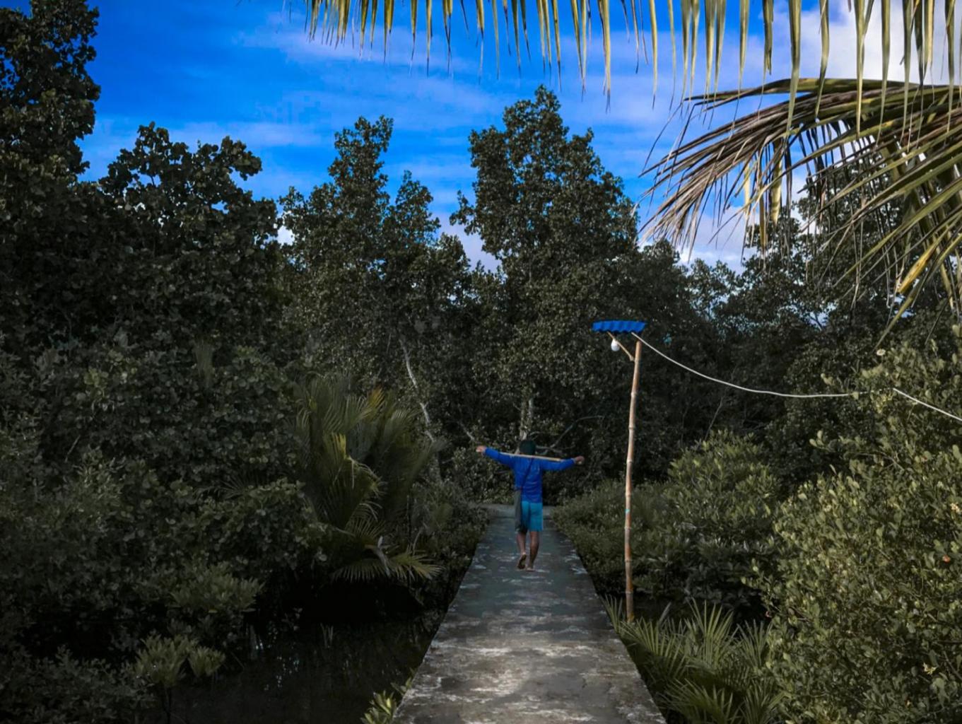 Wisata Mangrove 