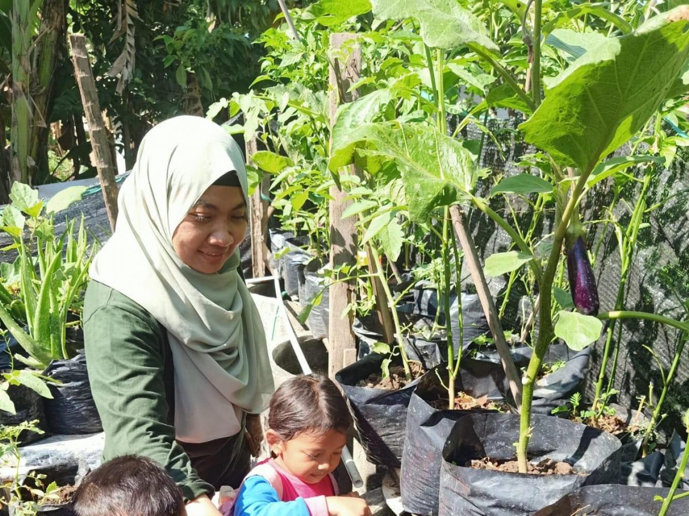 Memberi Makan Ikan