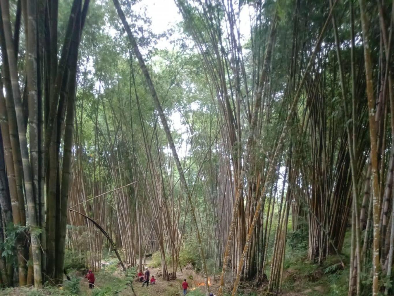 Pasar Bambu Batu Sitodon Dusun Garu'ga