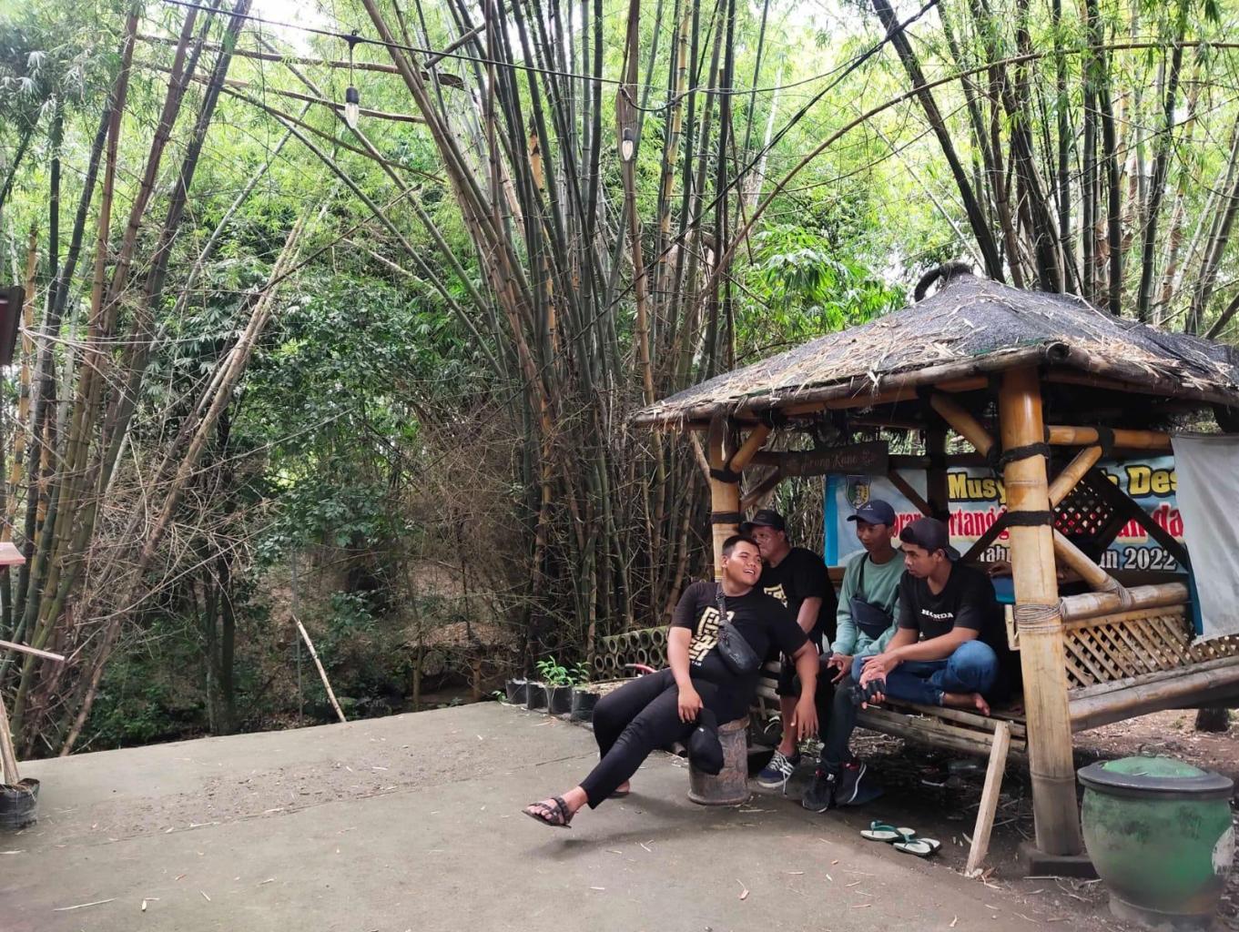 Hutan Bambu Bok Pendem