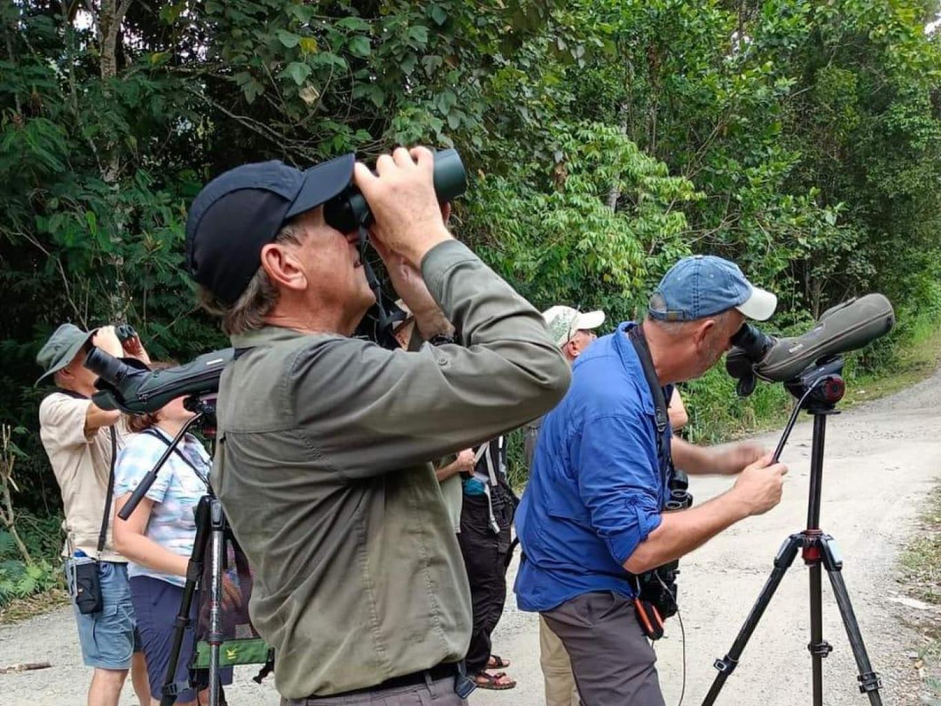 Bird Watching