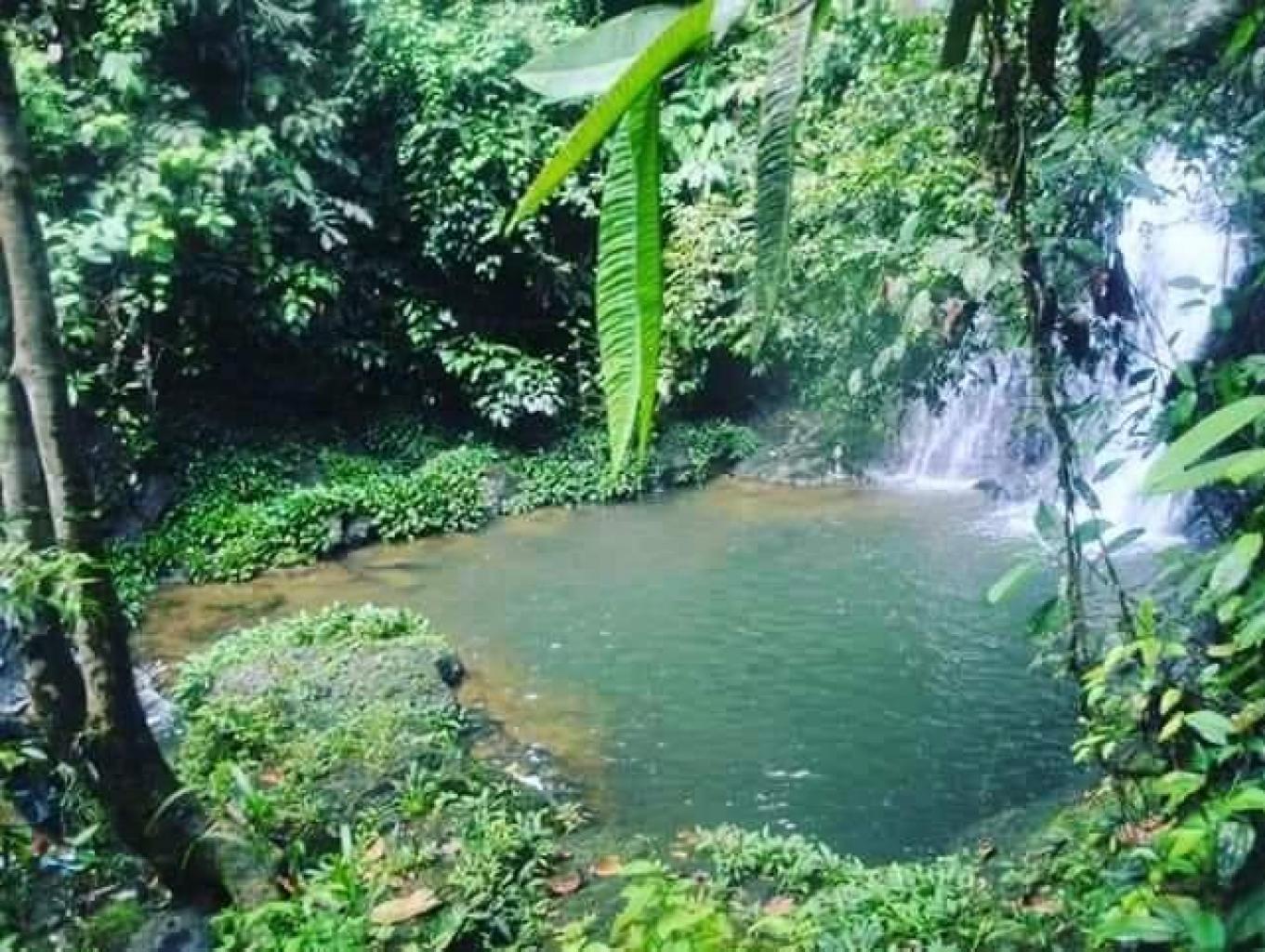 Pemandian Air Terjun Lau Kerapu 
