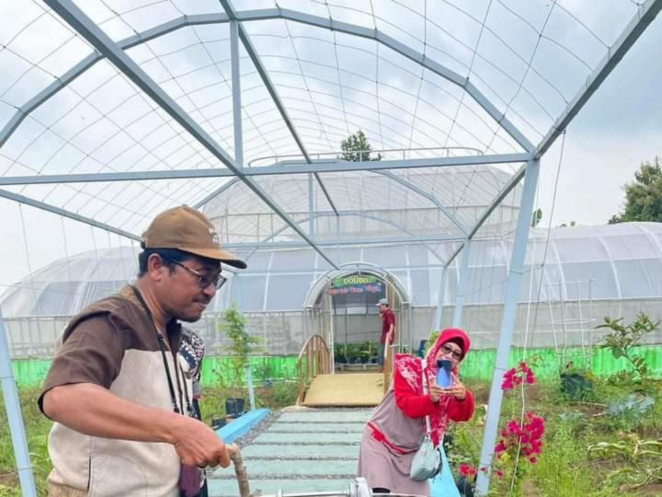 Edukasi Panen Madu