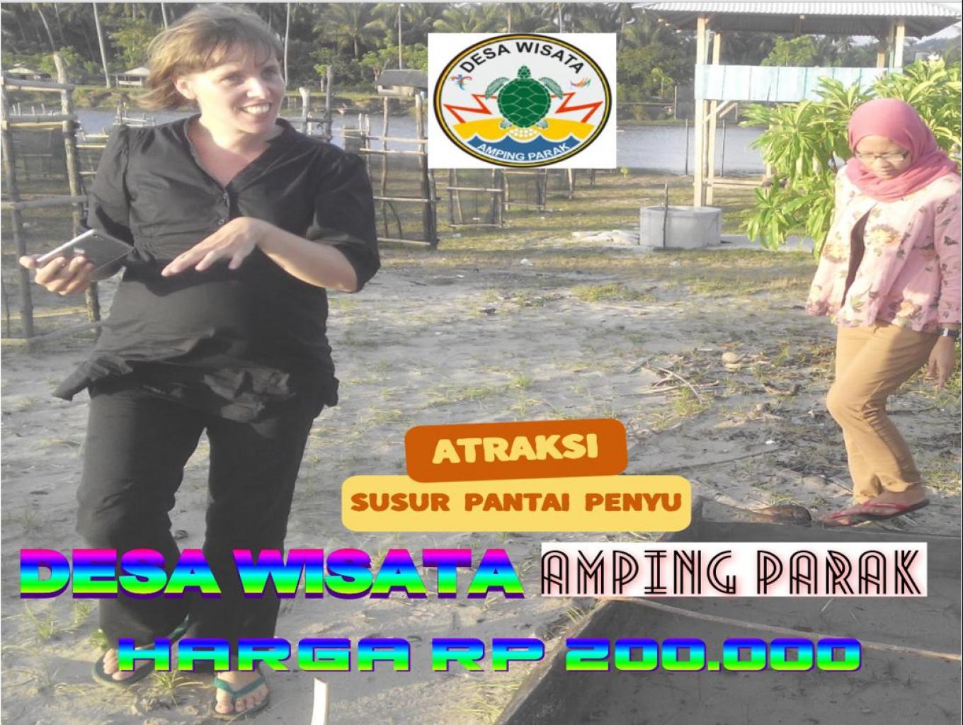 Susur Pantai Peneluran Penyu