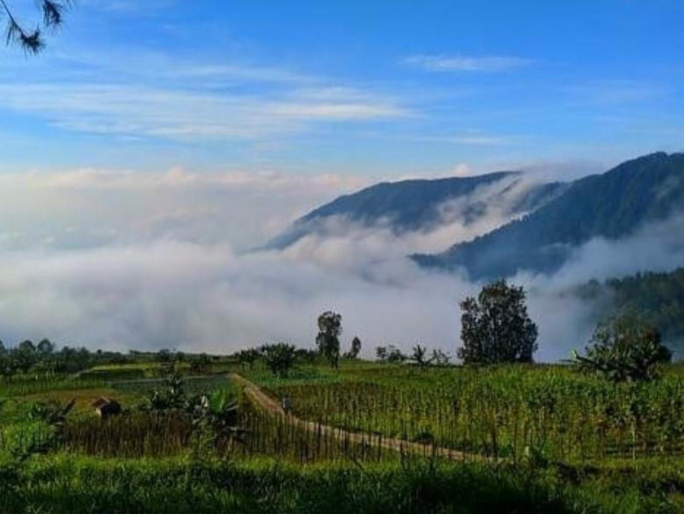 Golden Sunrise Camp Sekudi