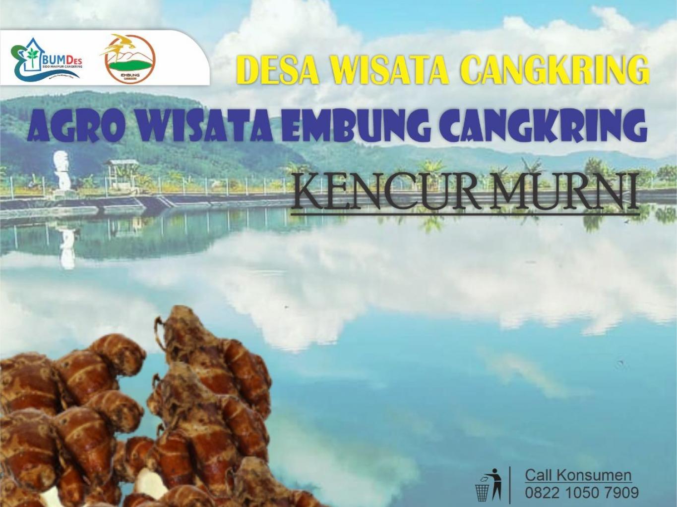 Kencur 