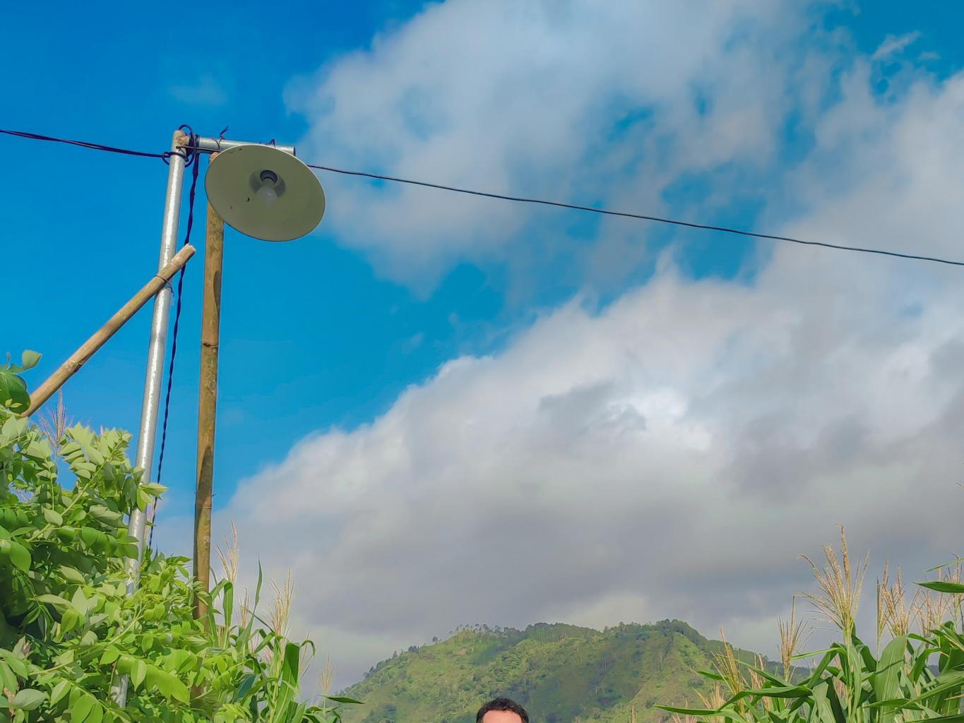 Ladang  jagung khas pegunungan