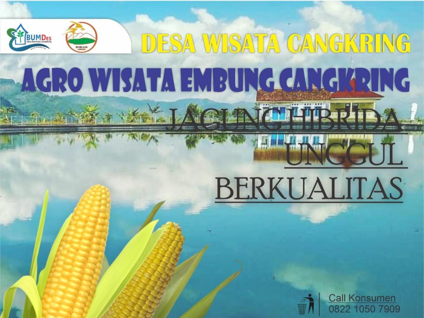 Oleh oleh jagung gunung