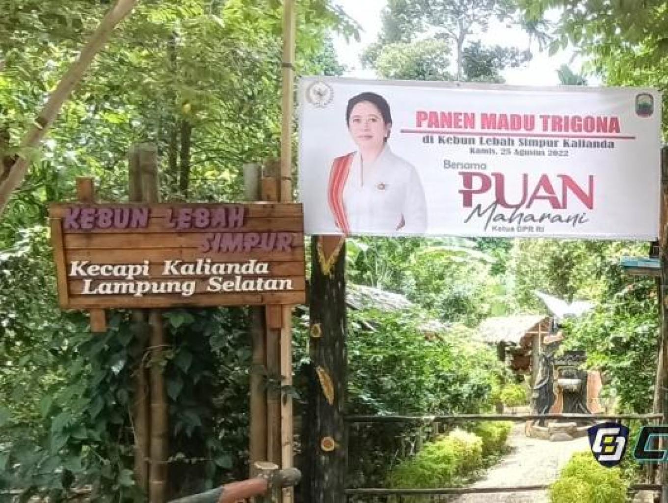 KEBUN LEBAH SIMPUR