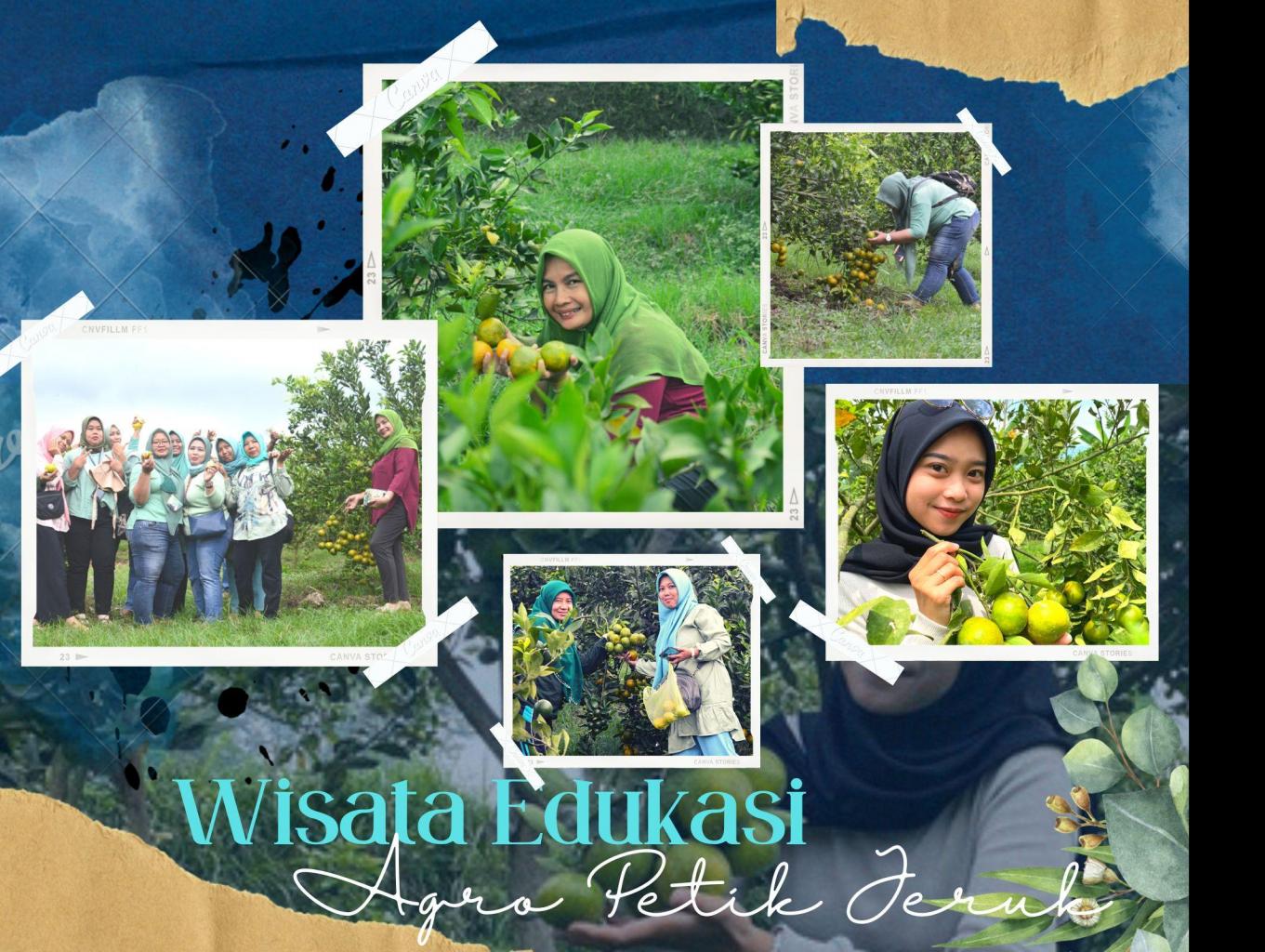 Agro Wisata