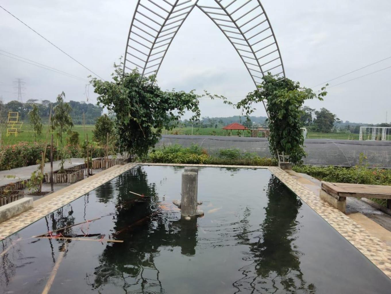 Wisata Pertanian, perkebunan, peternakan edukasi, kolam renang, kolam ikan therapy, bumi perkemahan,susur sungai,spot foto dll