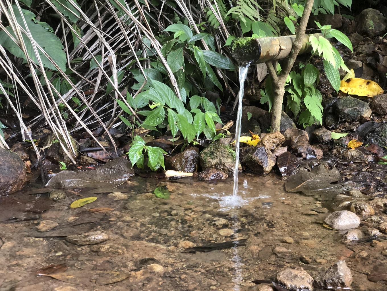 Mata Air Keramat Cipaingan