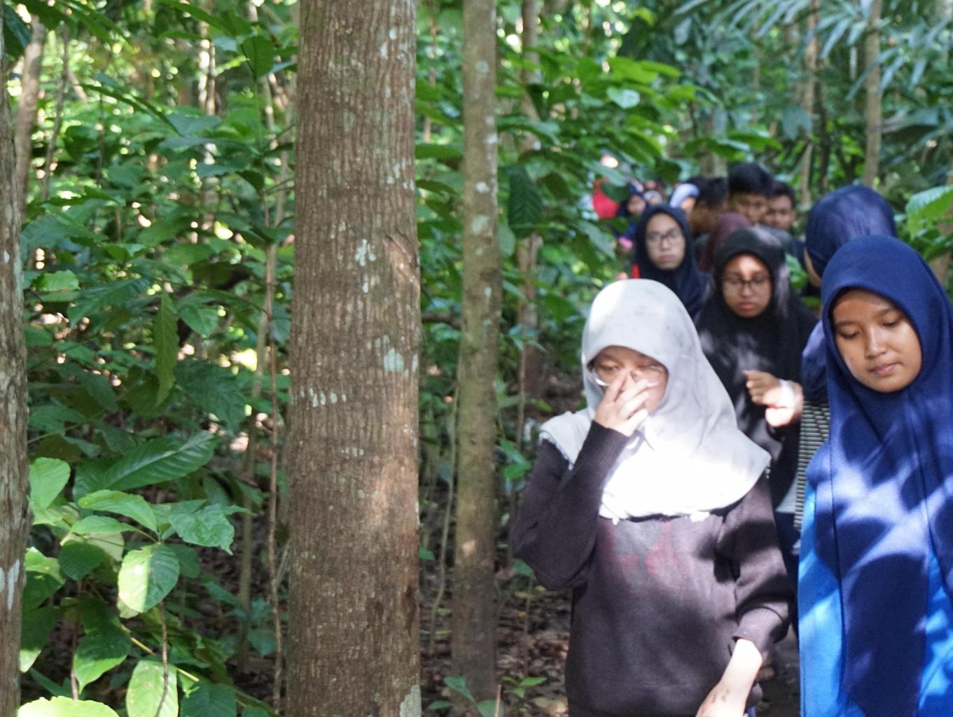 Trekking Alam