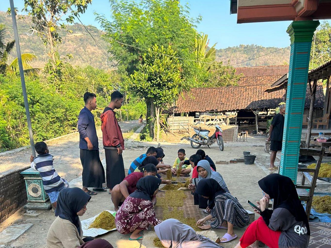 Wisata agro