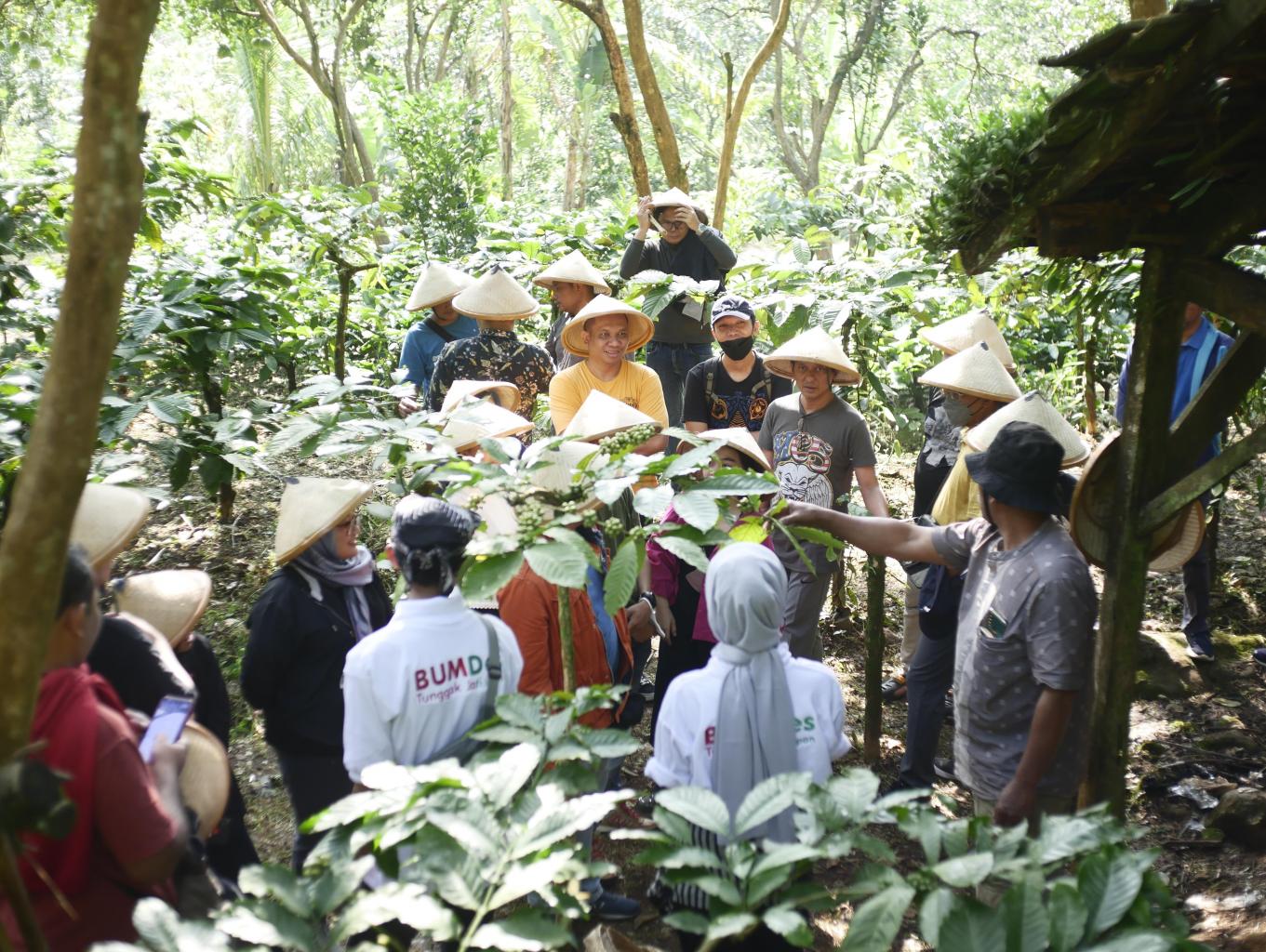 Edukasi Roasting Kopi Tradisional