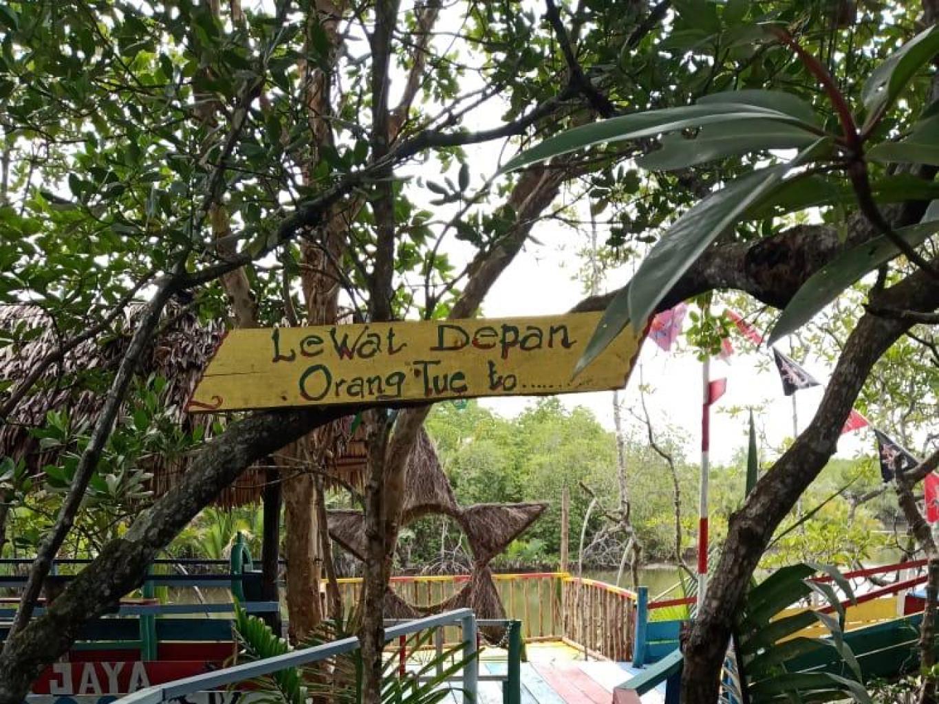 Track Mangrove