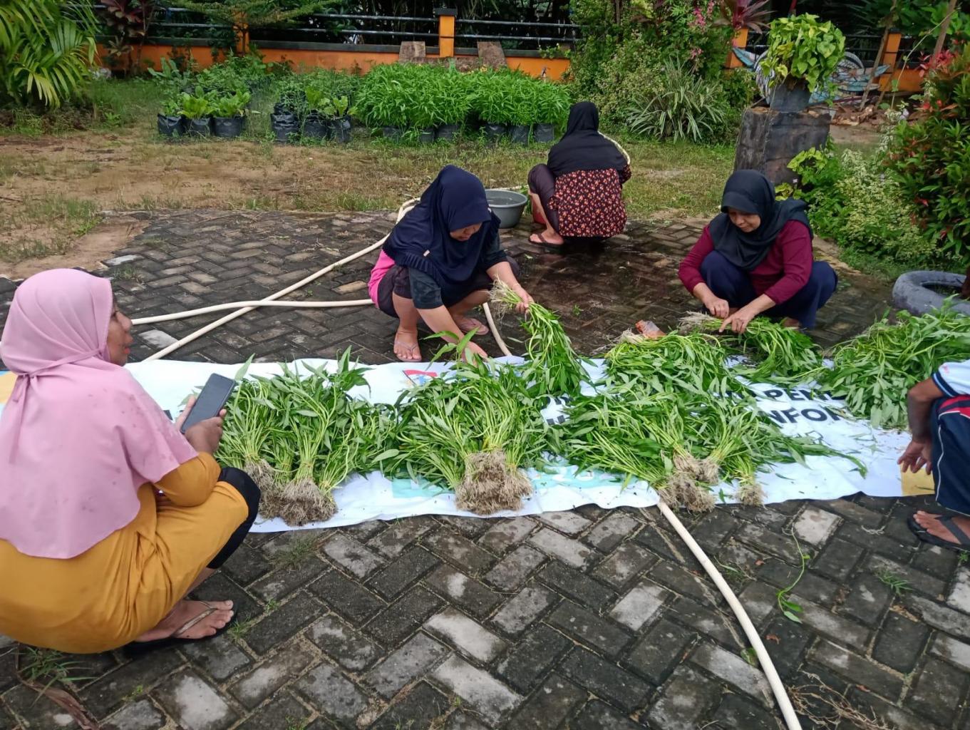 Hasil Kebun