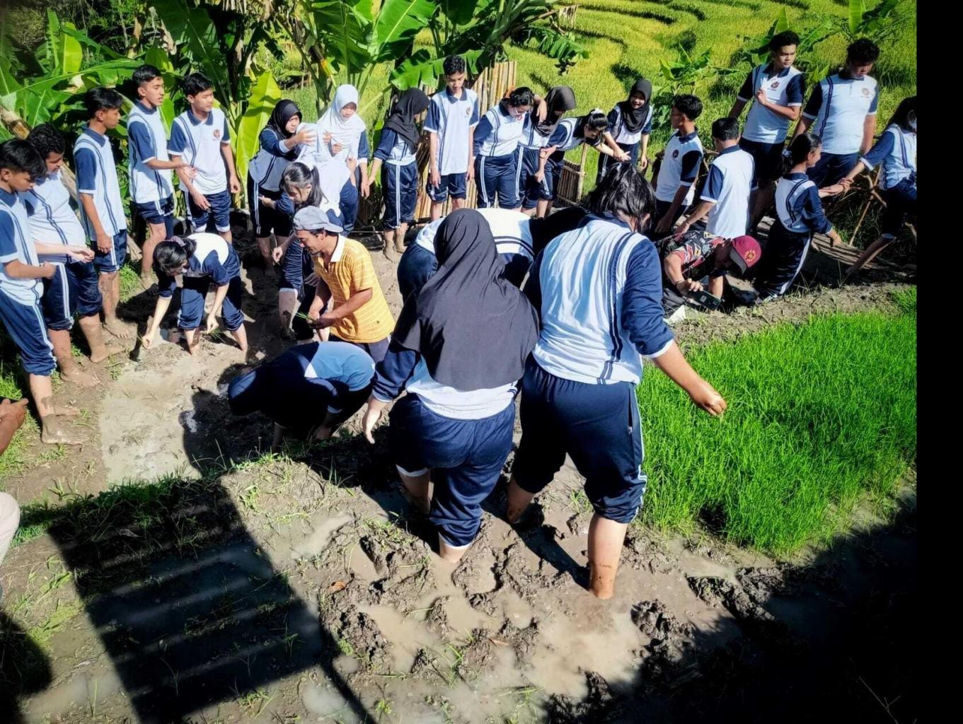 Live In Jogja ( Live In Ceria Desa Wisata Widosari )