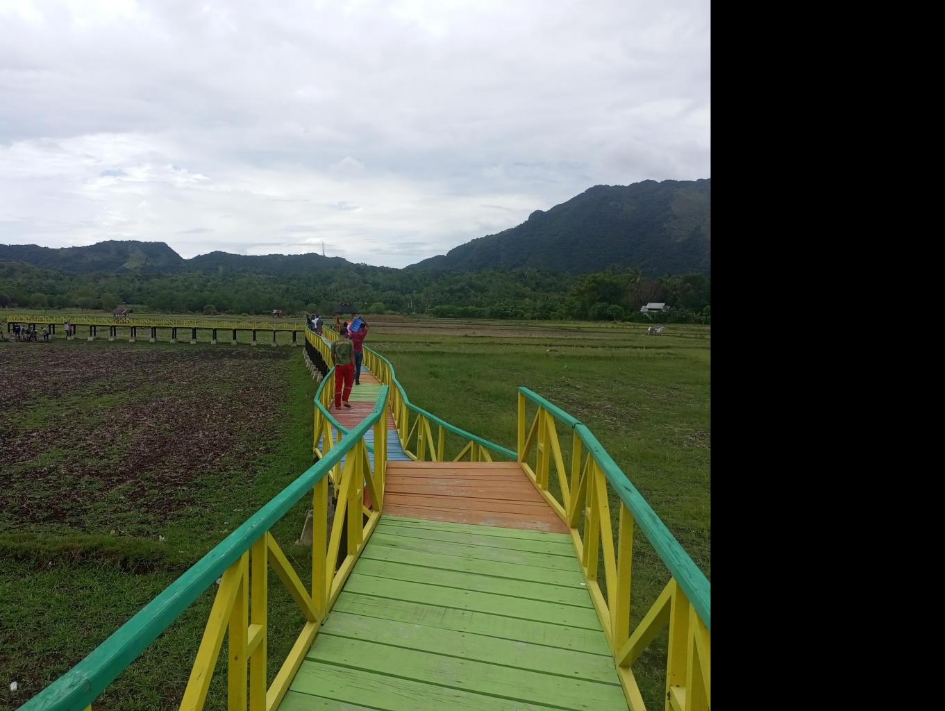 Lentera Sawah Hijau