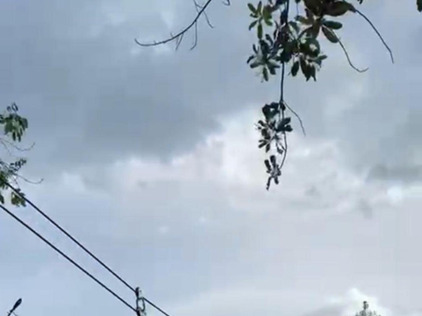 FLYING FOX