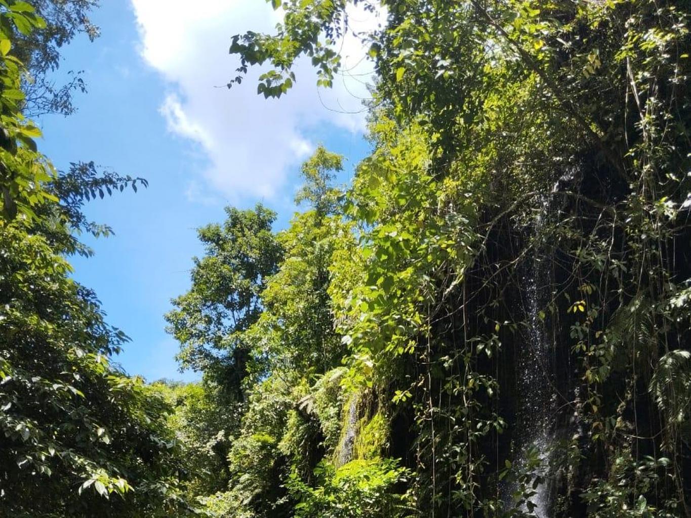 sungai 