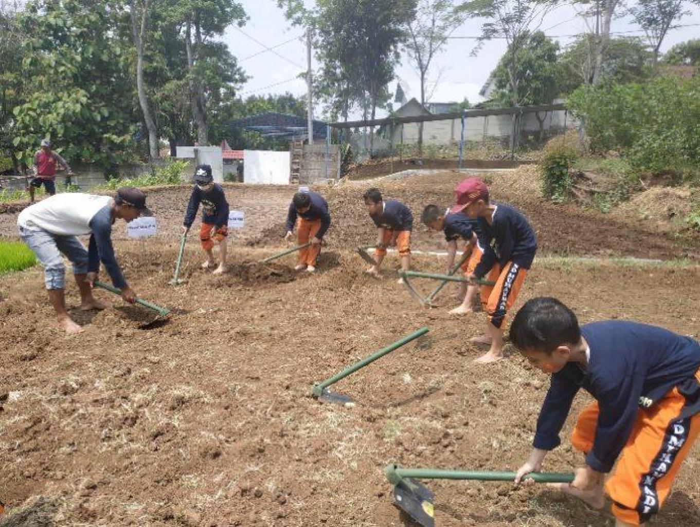 Berkebun Ceria