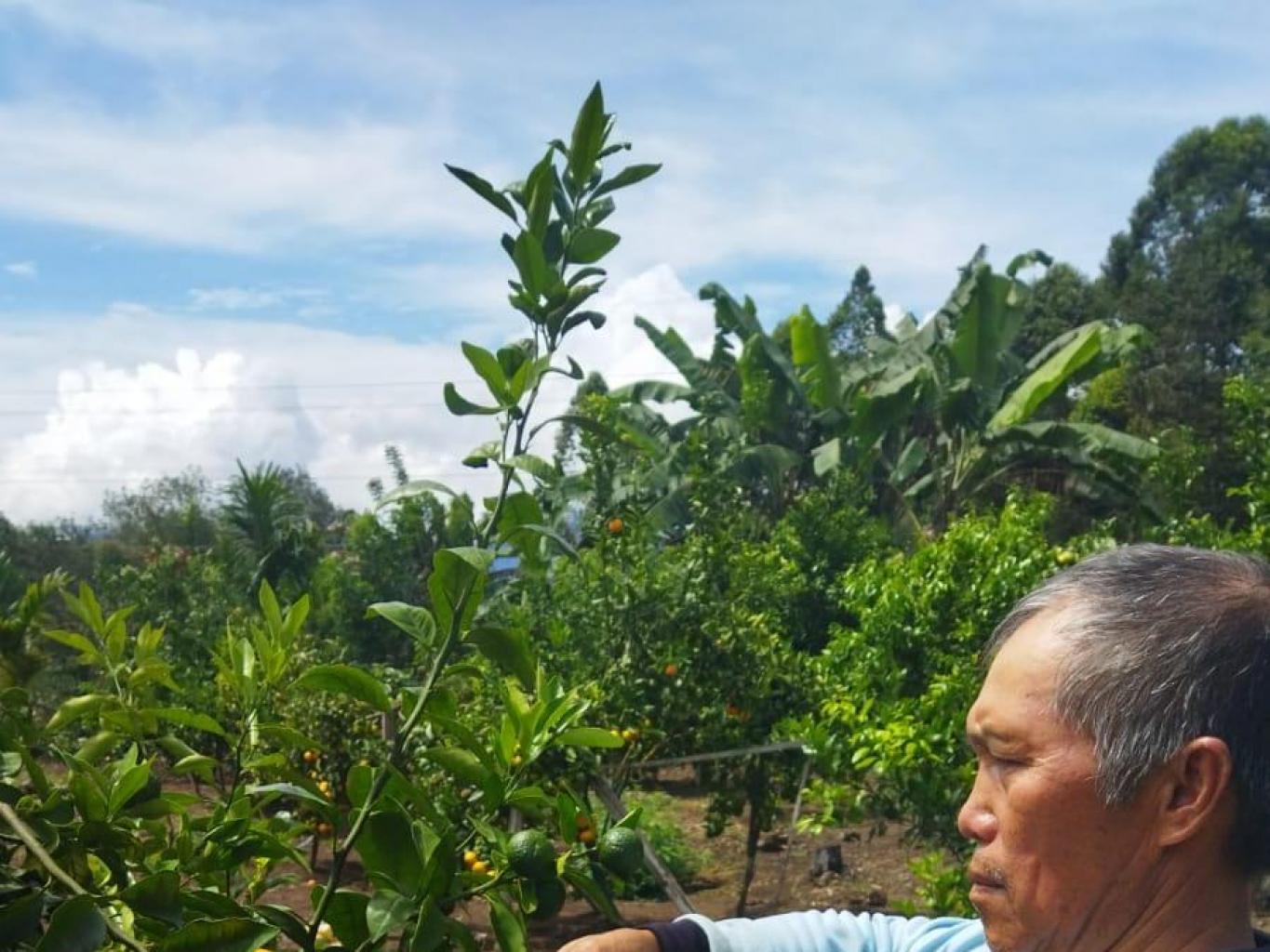 Agro Wisata