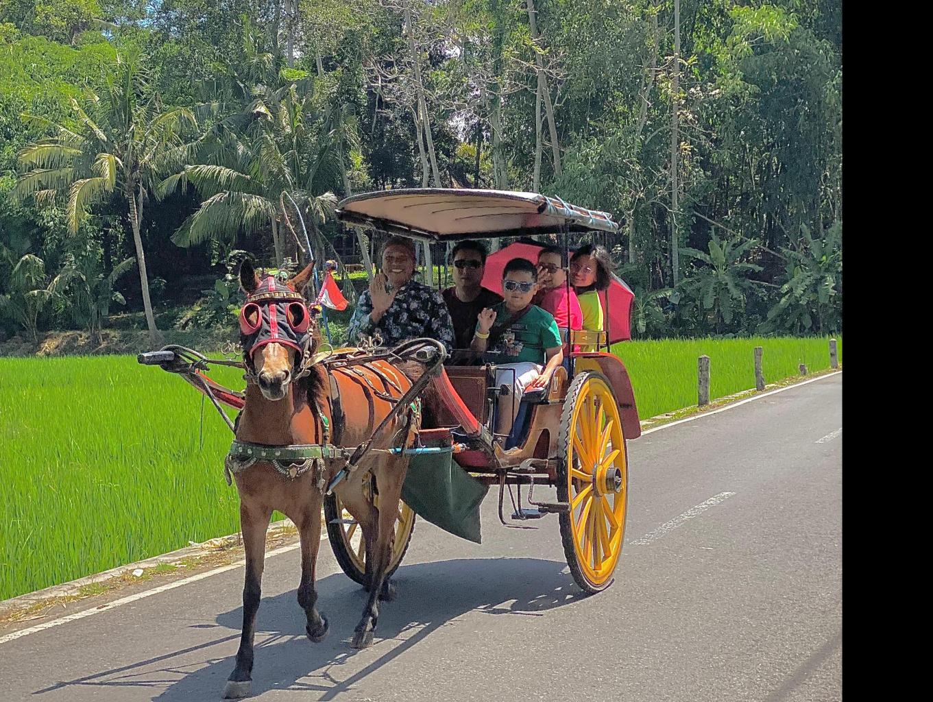 Jelajah Desa Borobudur Naik Andong