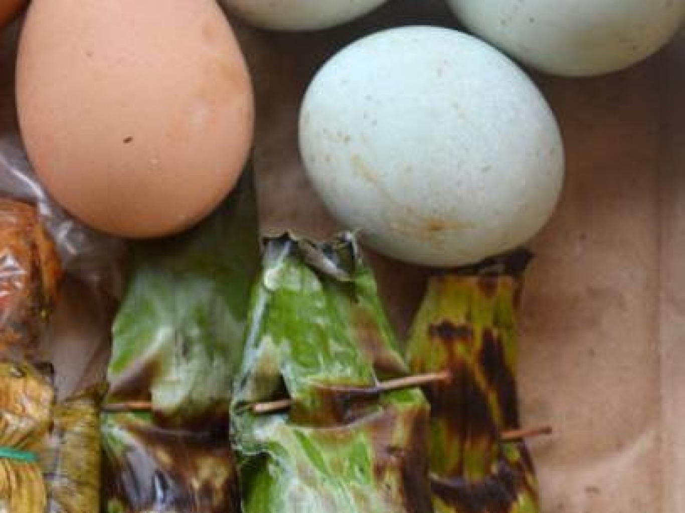 Gogos + Telur Bebek
