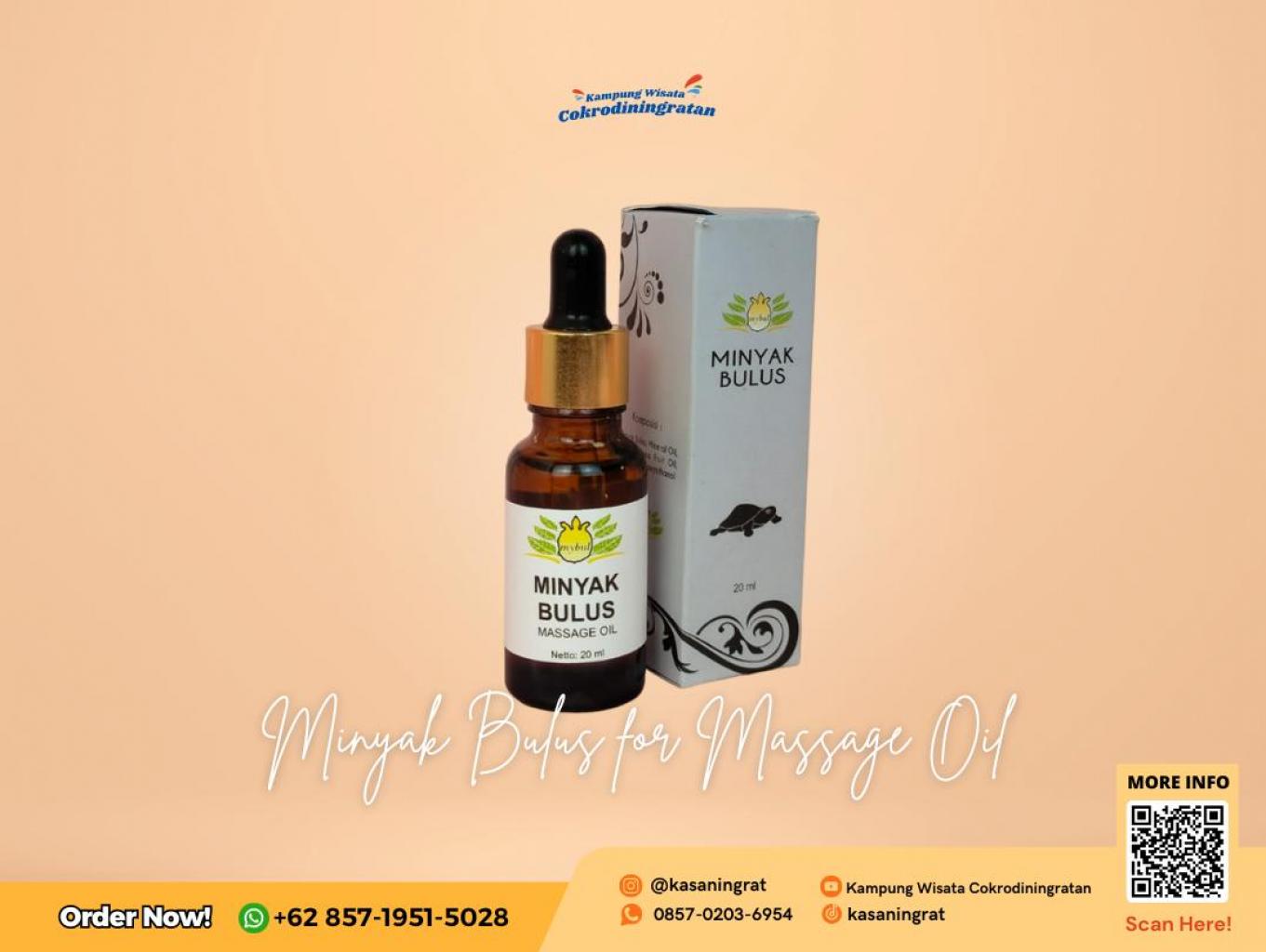 My Bul Minyak Bulus for Beauty and Massage