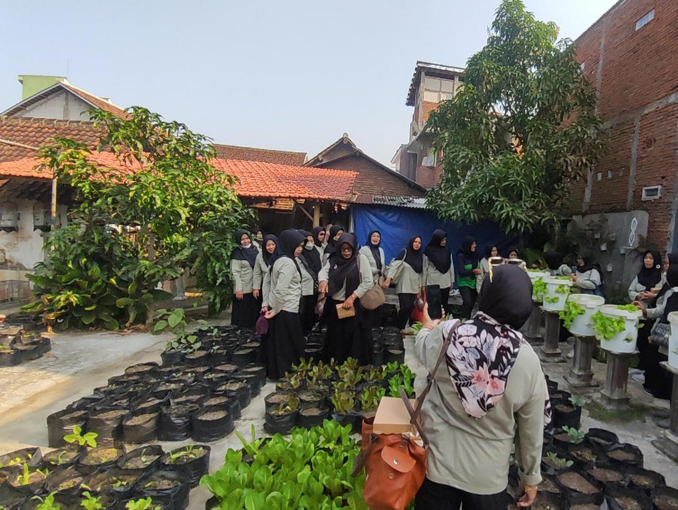 KAMPUNG ORGANIK MOJOREJO