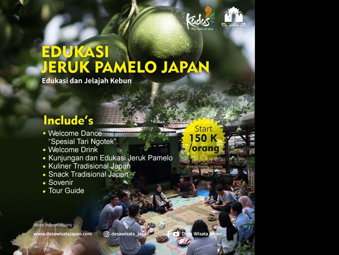 Edukasi Jeruk Pamelo Japan