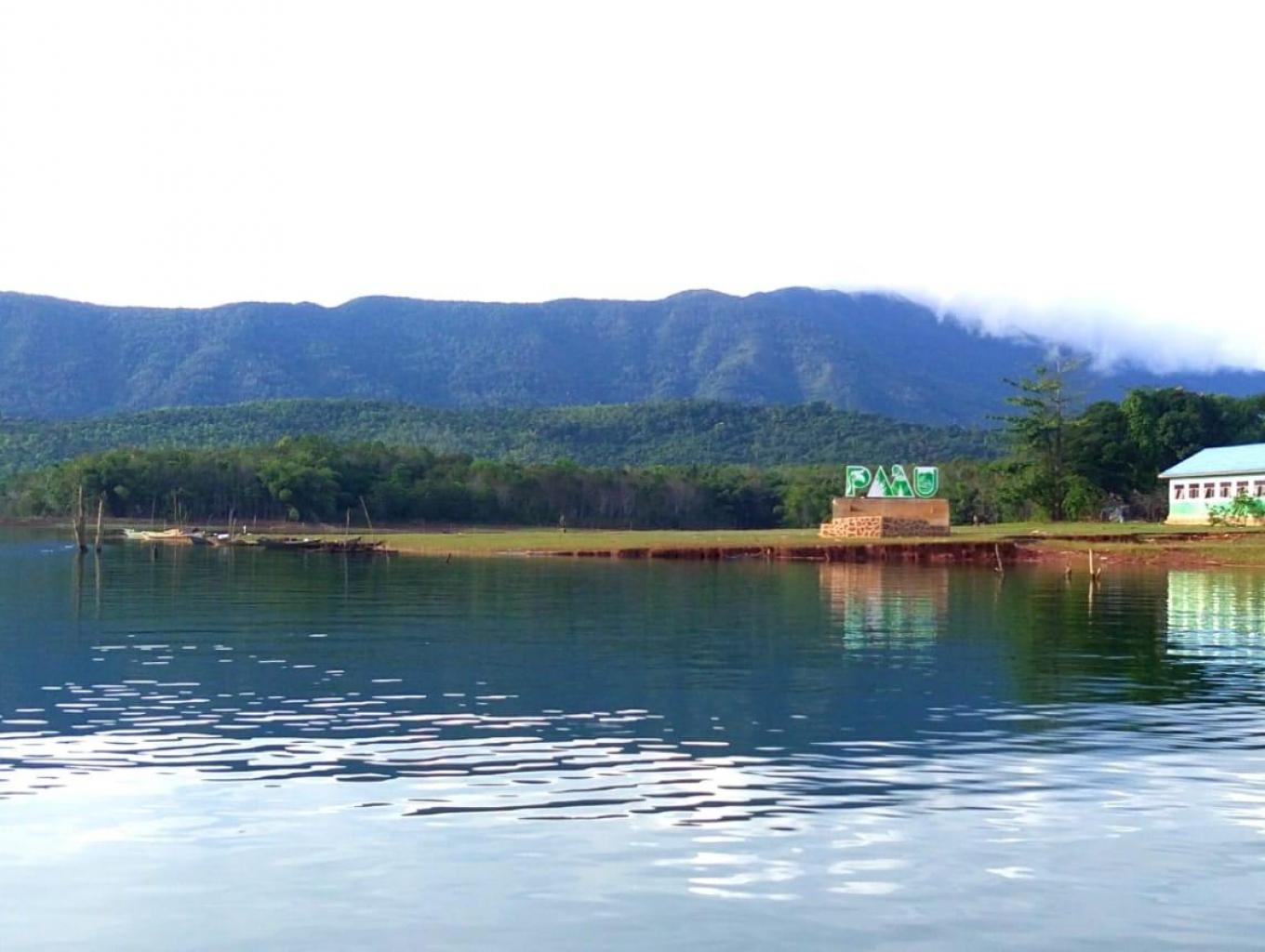 Paau