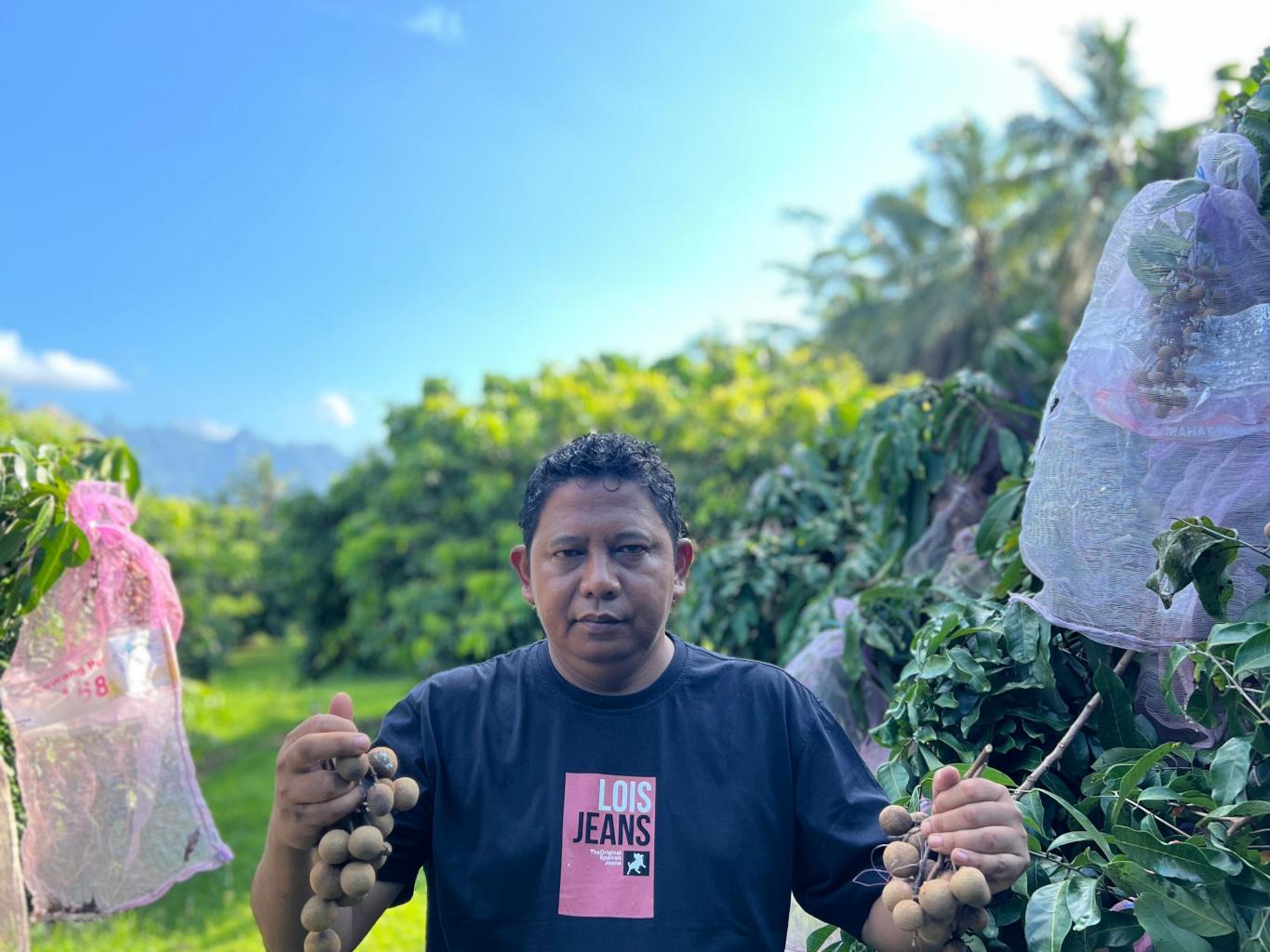 Agrowisata Kebun Kelengkeng BUMDES GRAHA MANDALA