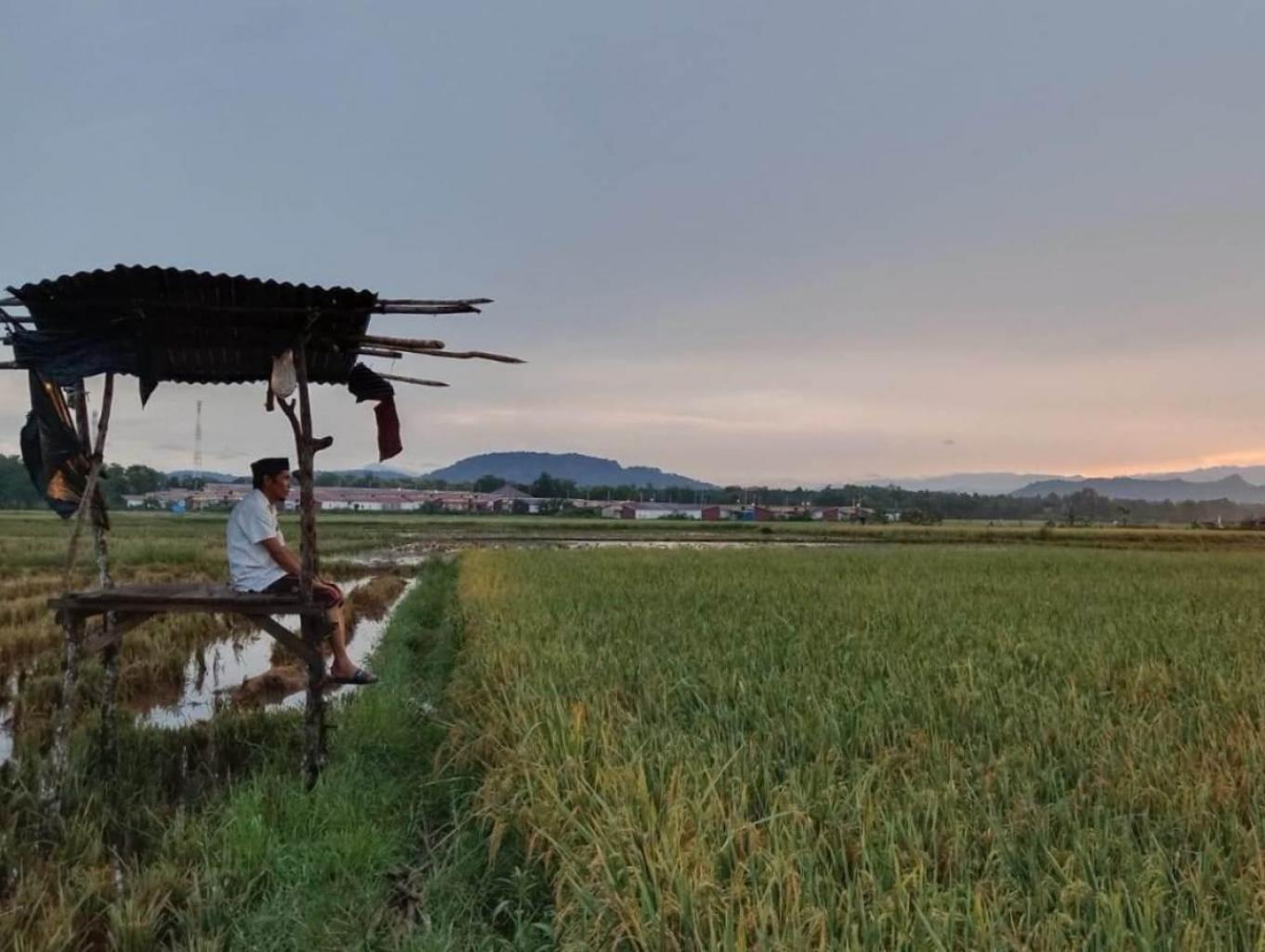 AGRO WISATA PACELLEKANG