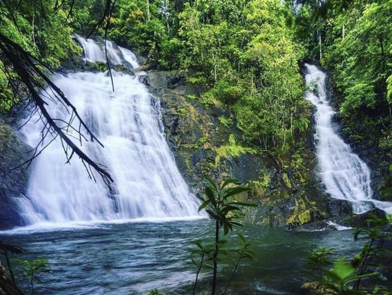 Mandin Panyaluhan Paau