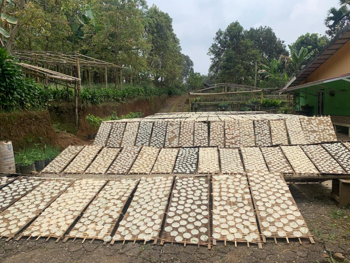Karupuak ubi