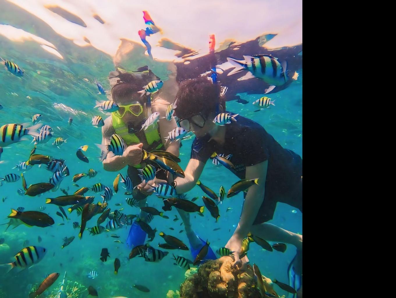 Wisata Snorkeling