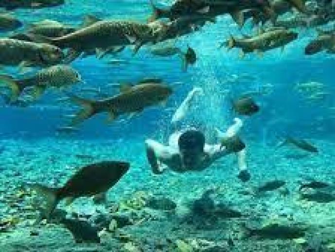 destination-img