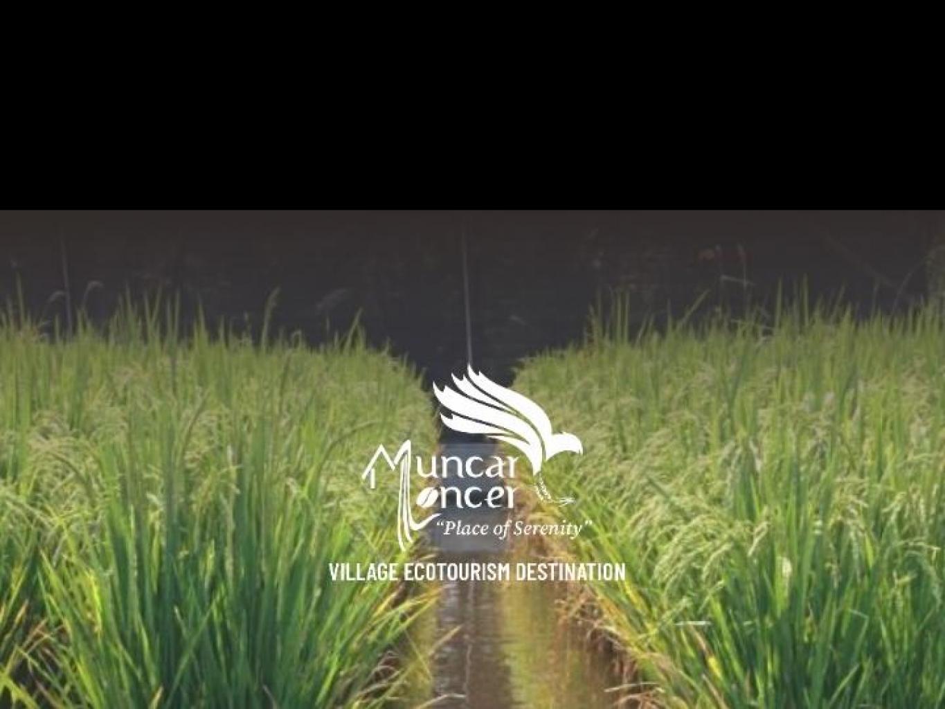 Sawah Minapadi