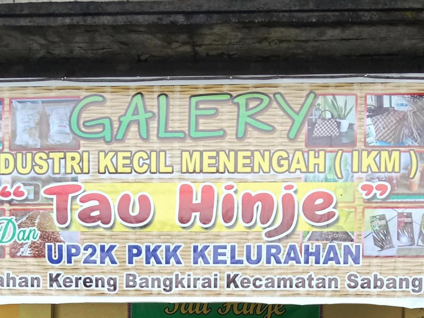 Anyaman Purun