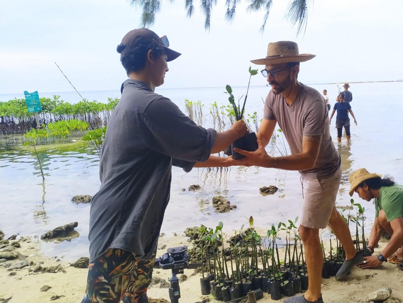 Wisata Penanaman Mangrove