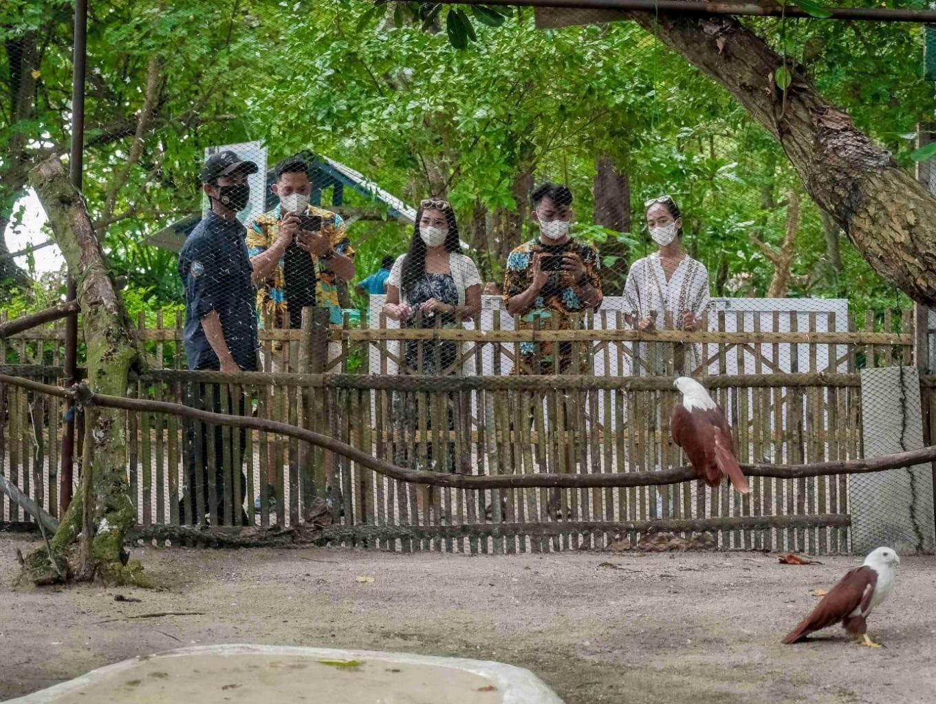 Wisata Konservasi Elang Bondol