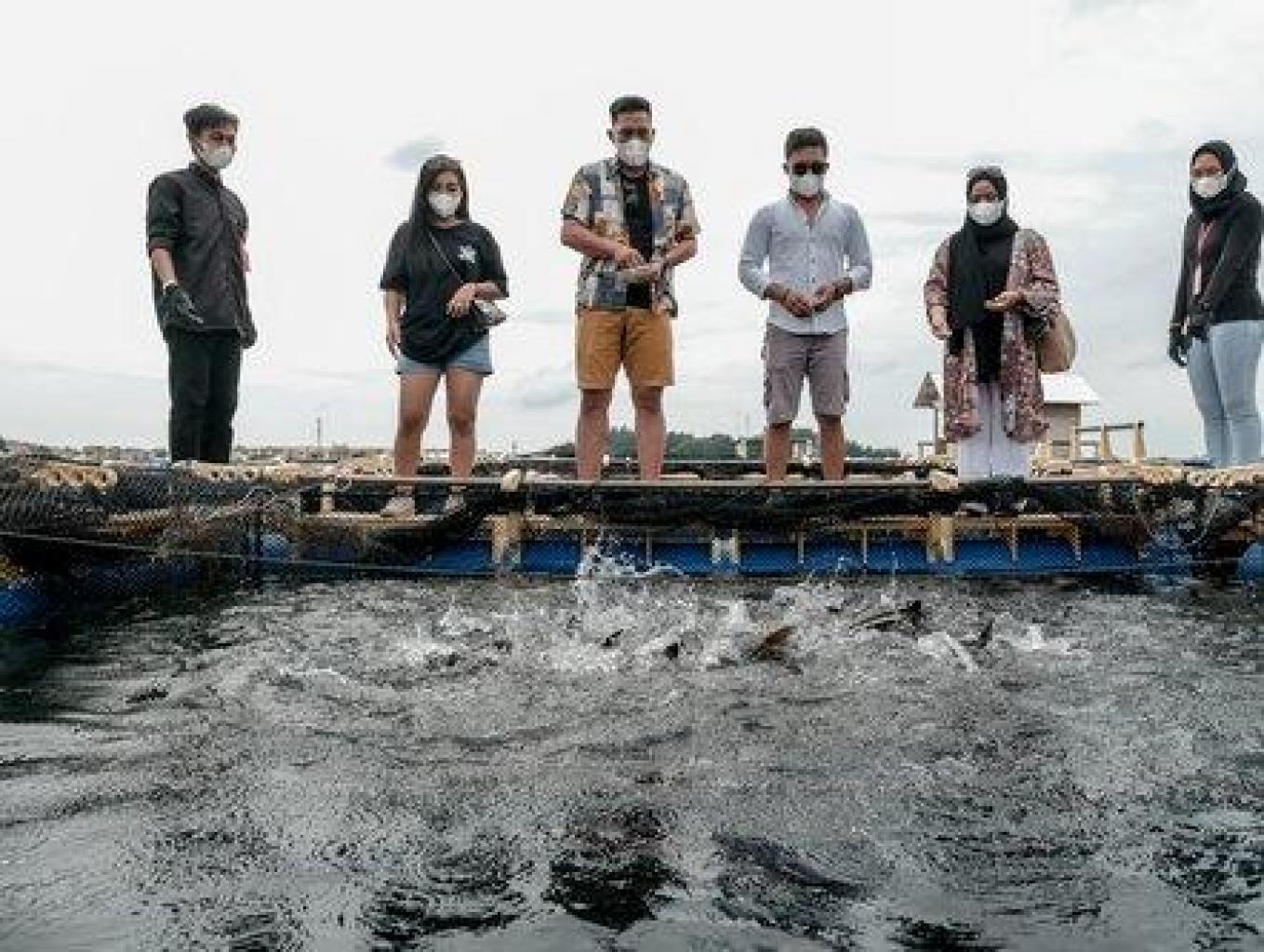 Wisata Penangkara hiu