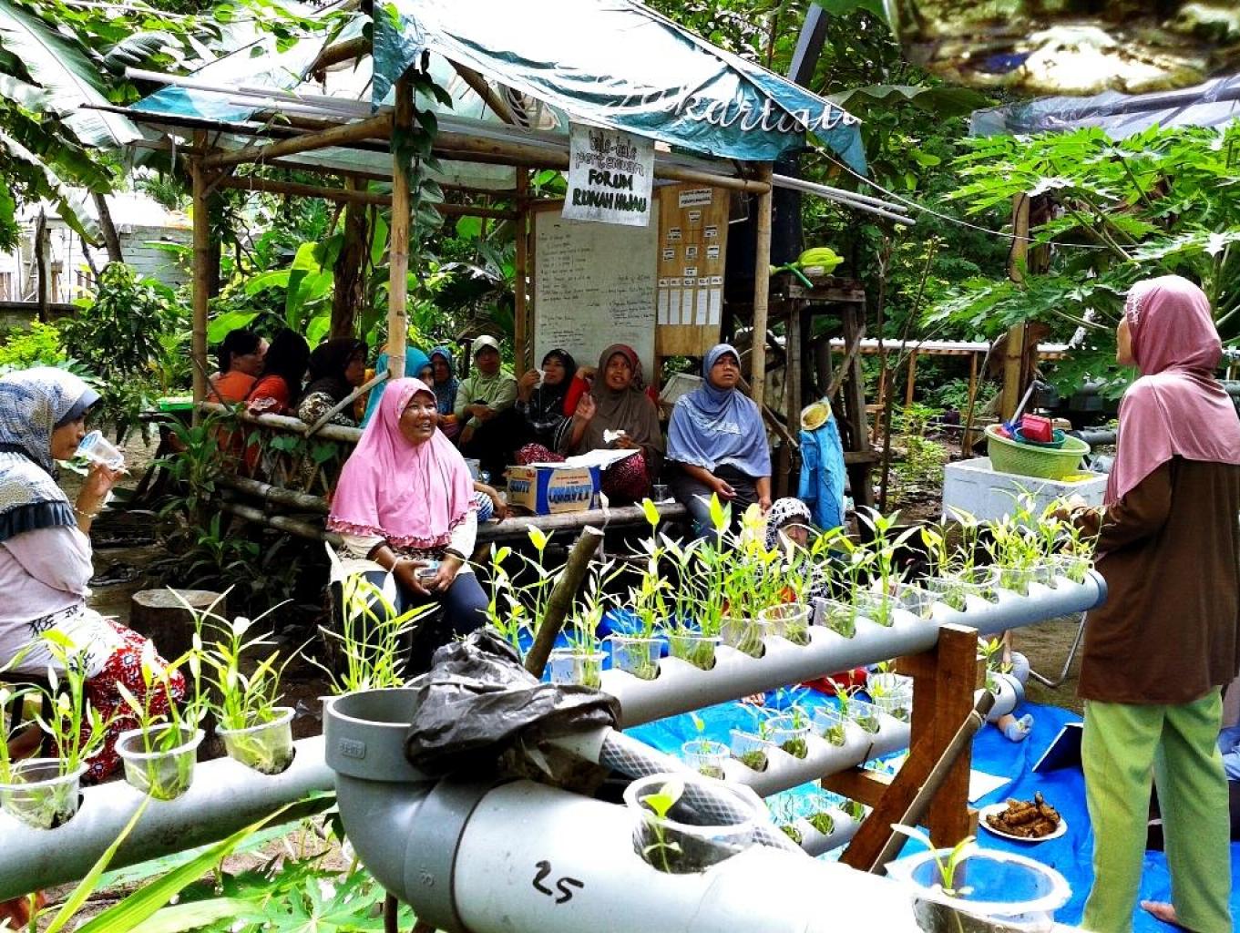 Edukasi Urban Farming Hidroponik