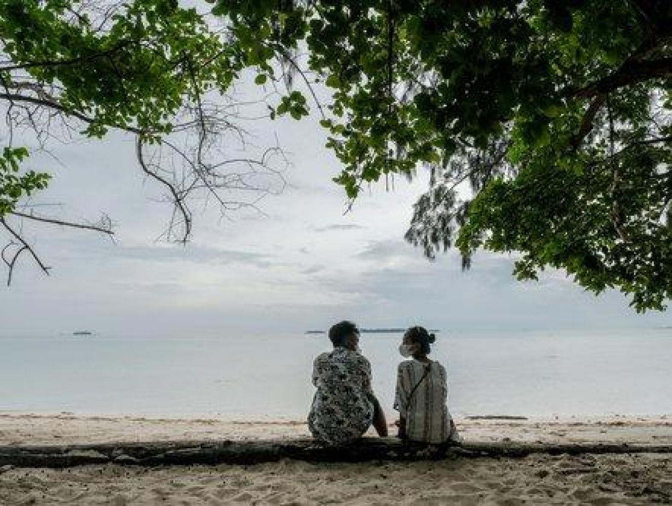 wisata semak daun